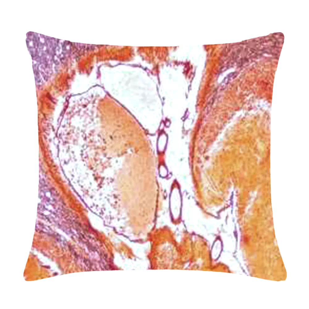 Grand Coussin Neuro-Philia - Studio Claudia Campone