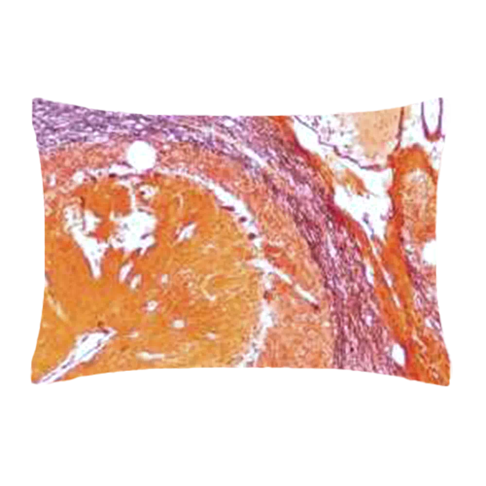 Coussin rectangulaire Neuro-Philia - Studio Claudia Campone